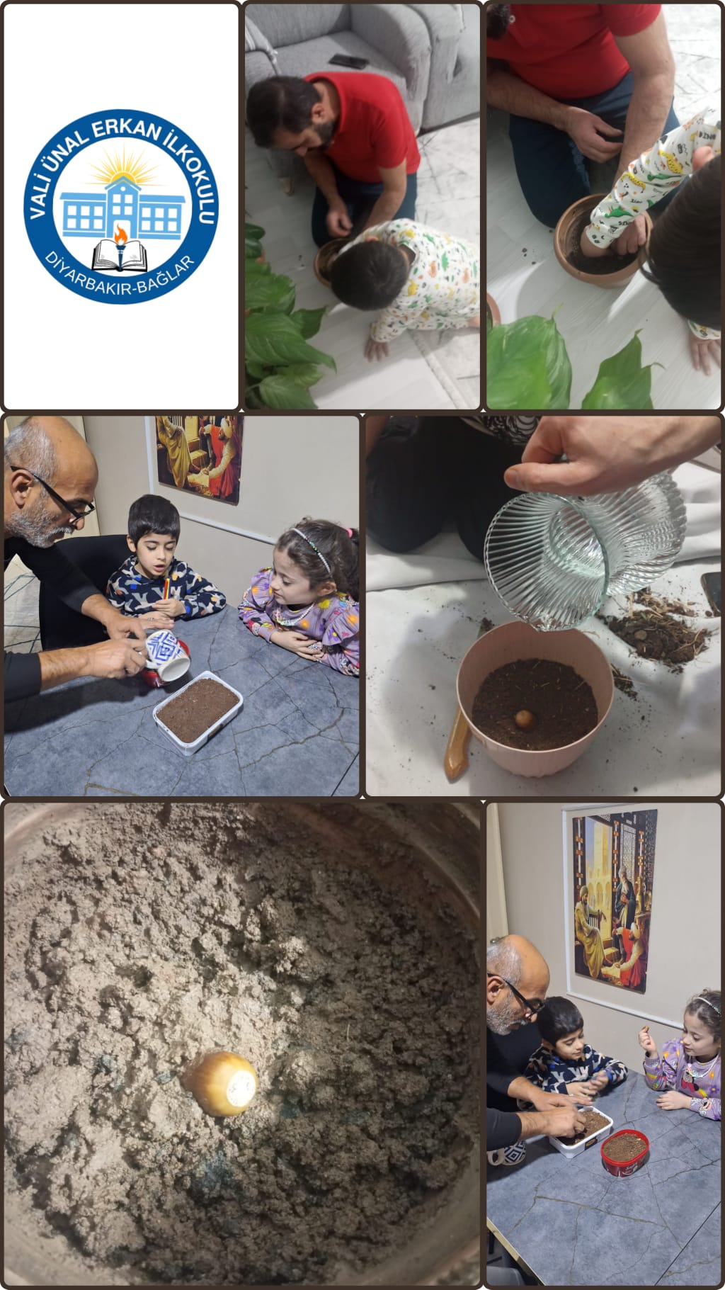 Veli Seminerleri ve Uygulamaları